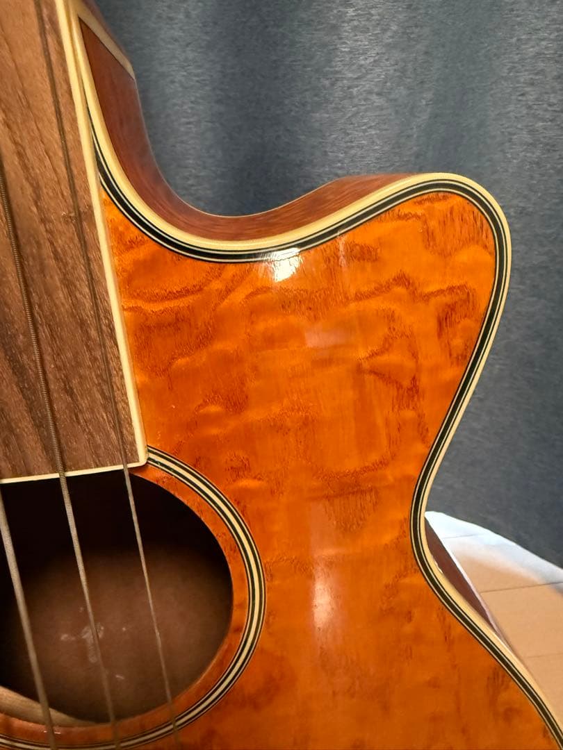 エレアコベース/フレットレス・PlayTech ZENN ZB22CEFL