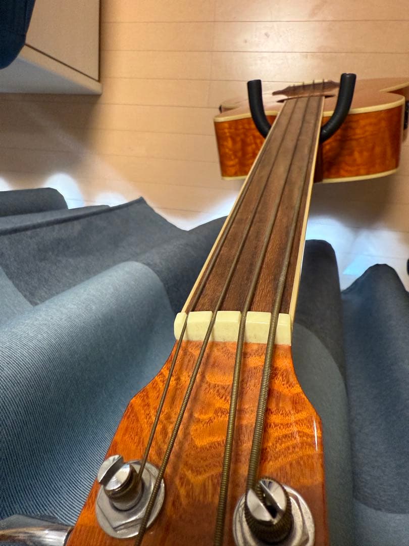 エレアコベース/フレットレス・PlayTech ZENN ZB22CEFL