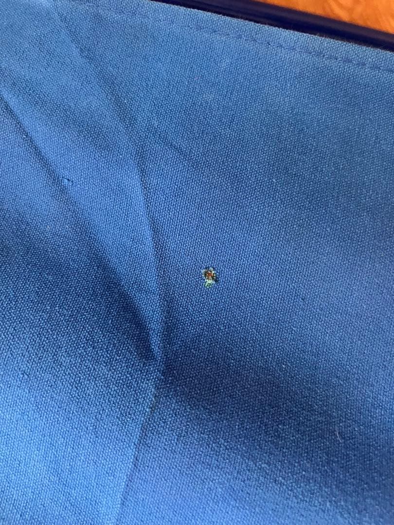 f*様 REI トラベルチェア 青 ビンテージ 貴重 美品 - メルカリ