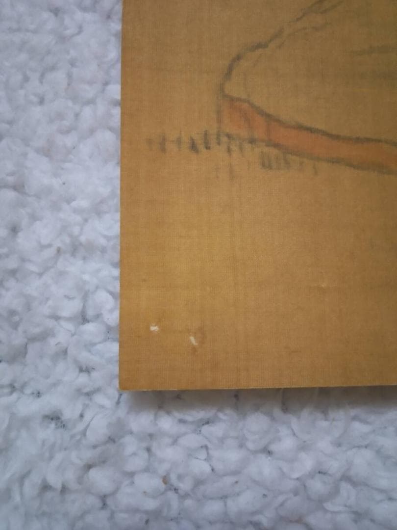 富取芳斎　絵　日本画　直筆　書画　南画家　絵師　文人　江戸　明治　新潟