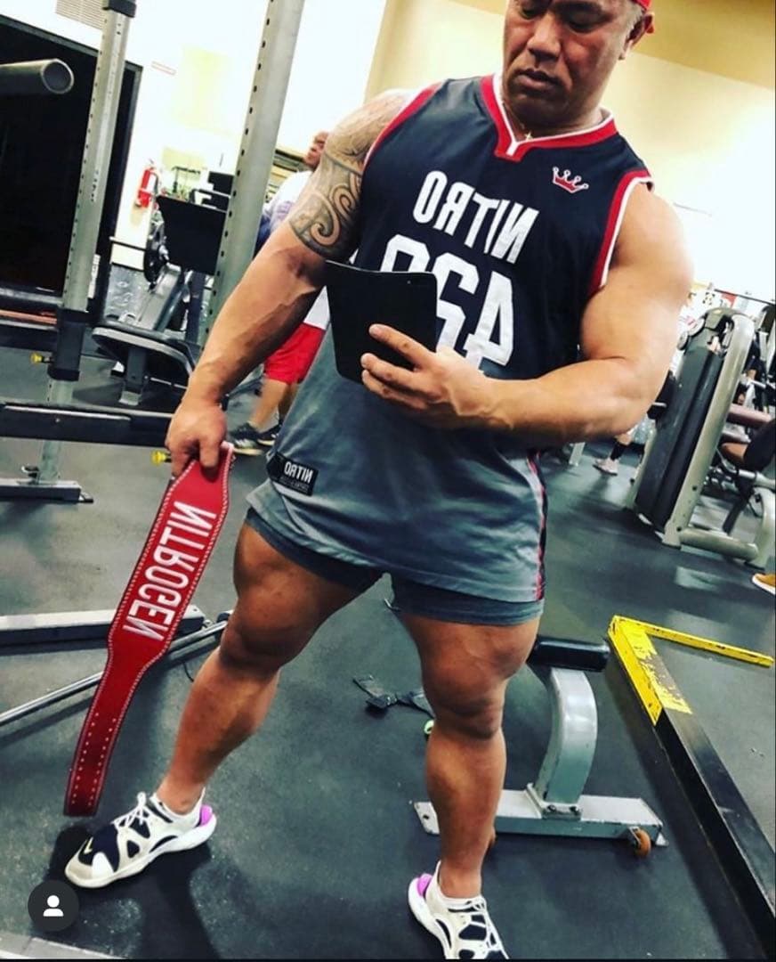 NITROGEN トレーニング・パワーベルト レッド NITROGEN トレーニング・パワーベルト レッド NITROGEN トレーニング