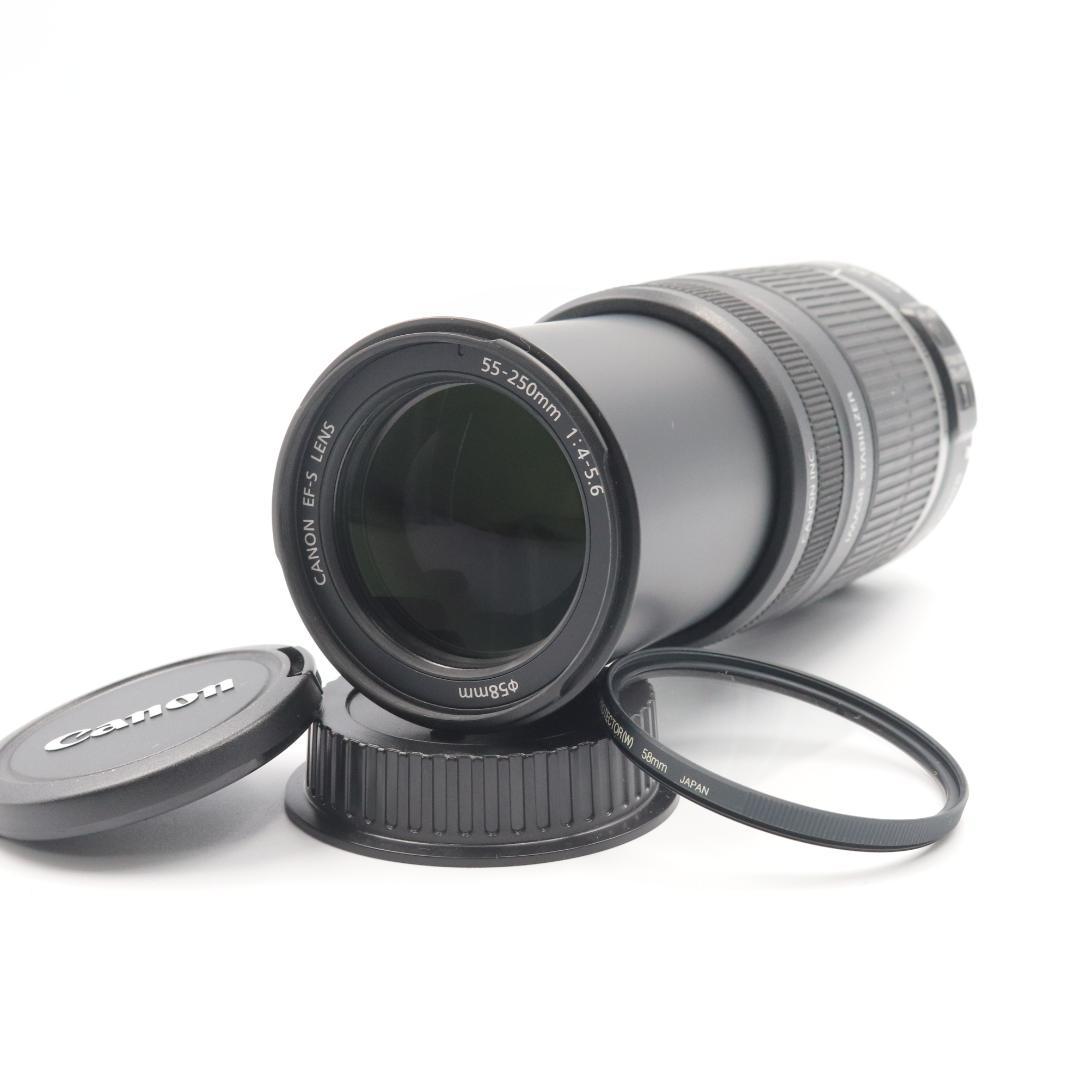 Canon EF-S 55 -250mm F4.5-5.6 IS 望遠