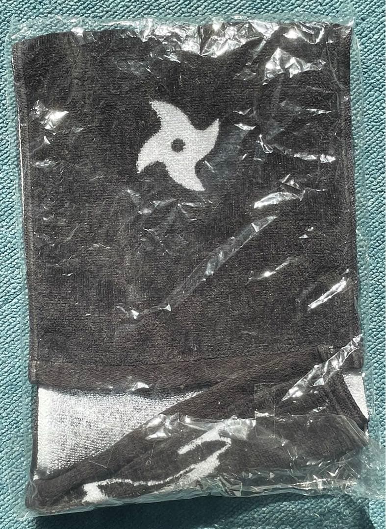 真天地開闢集団　ジグザグ　救いの手　パーカー