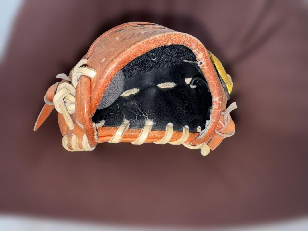ミズノプロ オーダー 匠仕上 坂本モデル HAGAJAPAN 硬式 5DNA - メルカリ