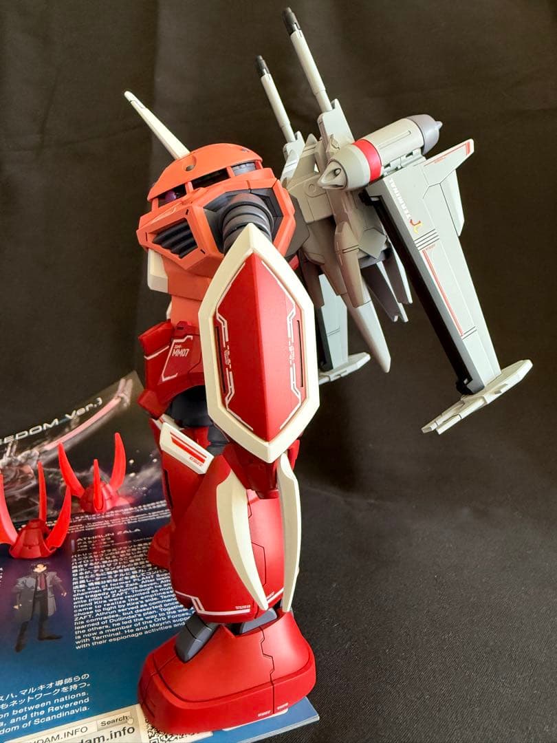 HG ズゴック SEED 、キャバリアー 、EG ストライク 全塗装　完成品