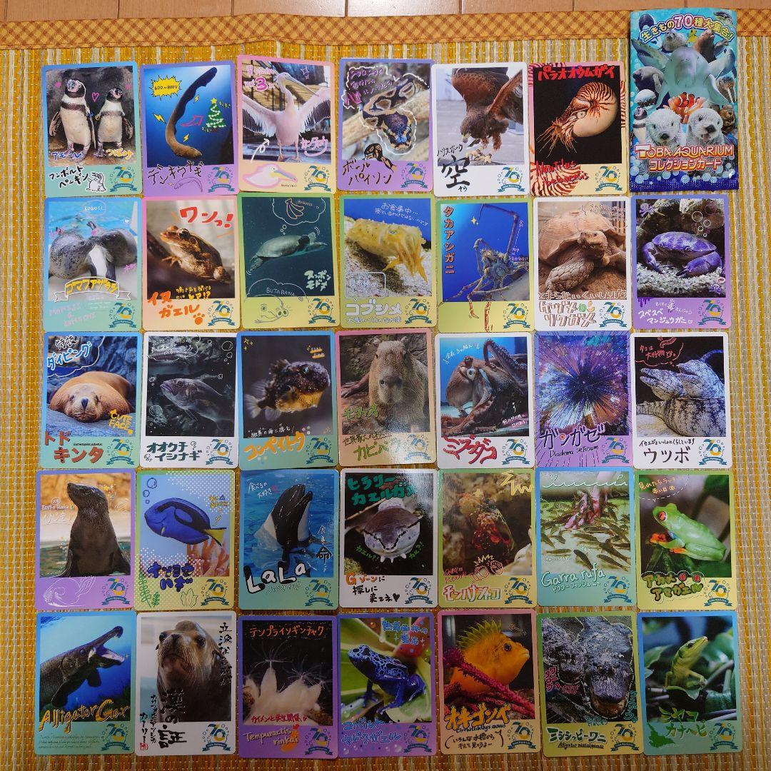 鳥羽水族館 70周年 コレクションカード - メルカリ