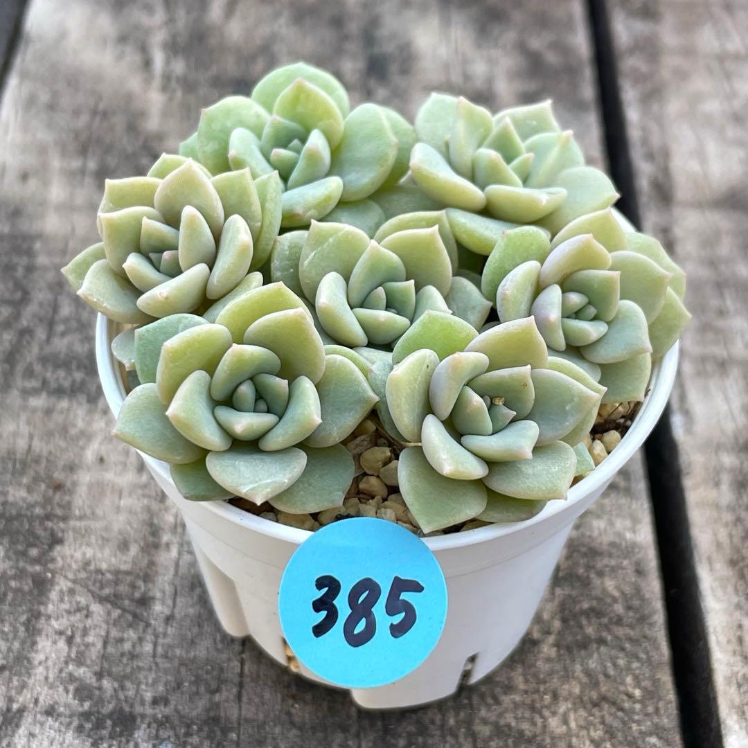 みー❀✼❅様 リクエスト 2点 まとめ商品 - メルカリ