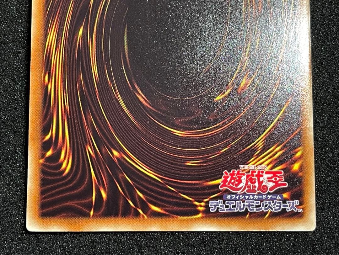 【ARS鑑定 10】ナチュルパルキオン　DTC シークレットレア　貴重！