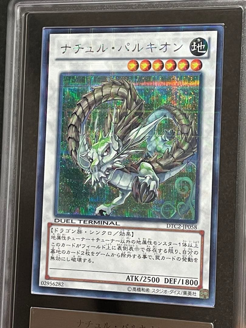 【ARS鑑定 10】ナチュルパルキオン　DTC シークレットレア　貴重！