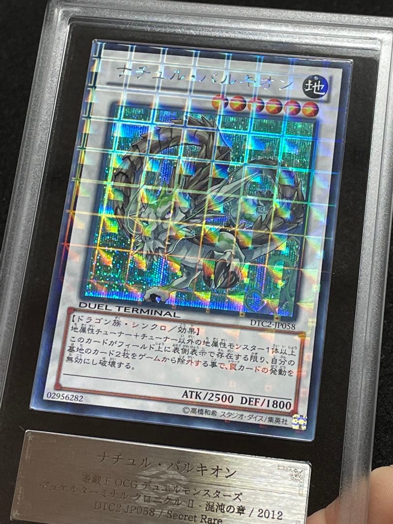 【ARS鑑定 10】ナチュルパルキオン　DTC シークレットレア　貴重！