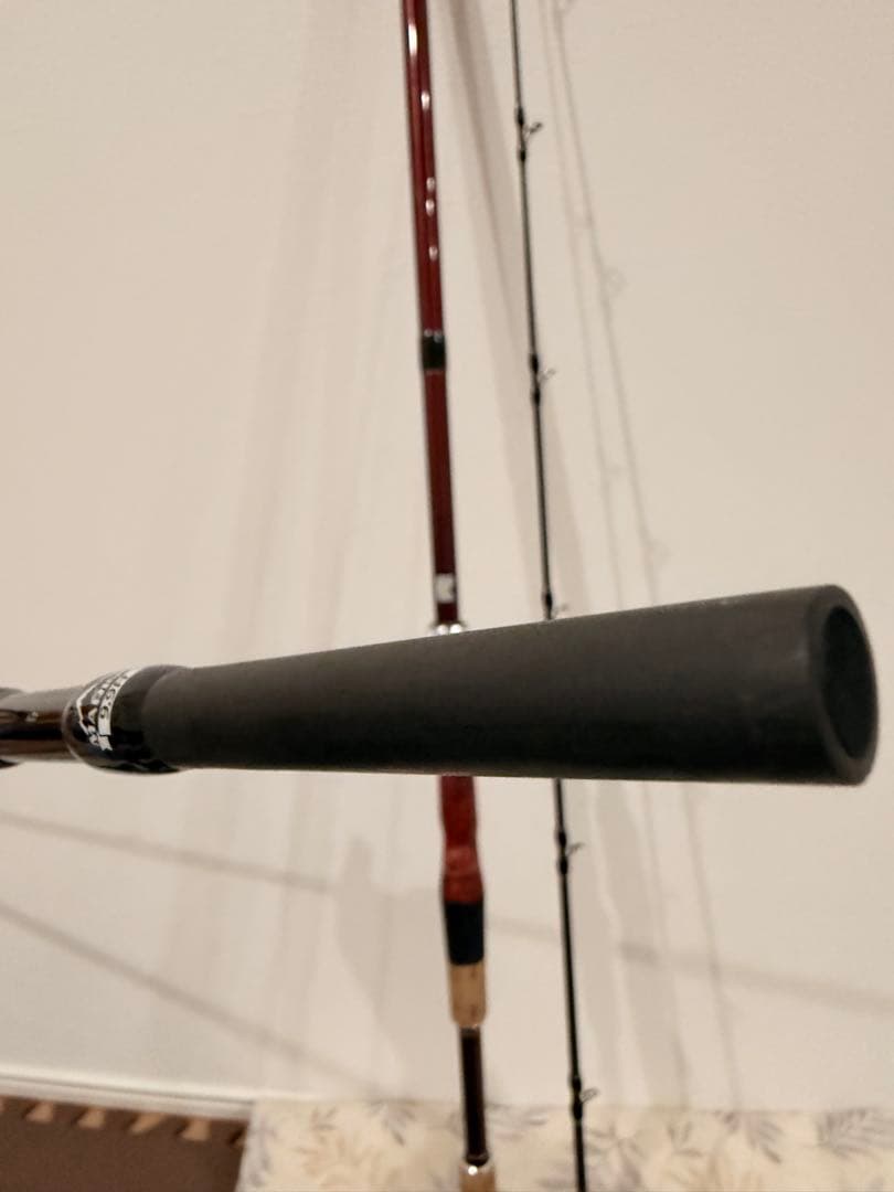 フィッシュマン　ブリストマリノ　9.9H