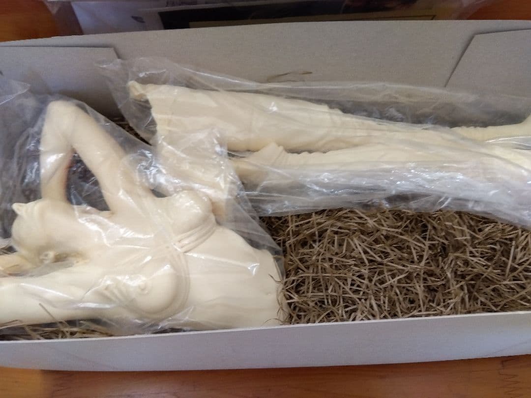 ●ボークス 空山基 アマゾン ヴィーナスグラデーション ガレージキット 1/4