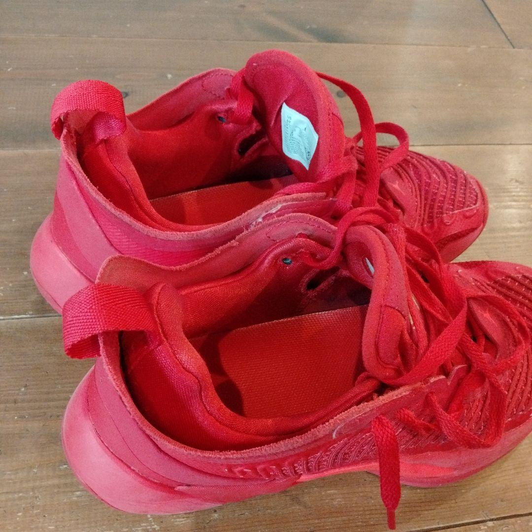 値引き可能 ナイキ ジョーダン ルカ1 バッシュ 24センチ バスケ - メルカリ