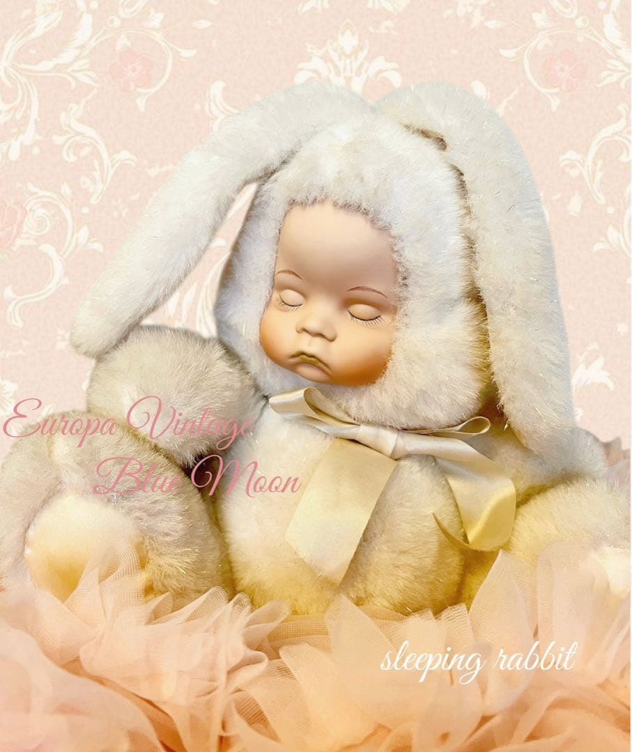 ♕EuropaVintage✴︎sleeping rabbit♡