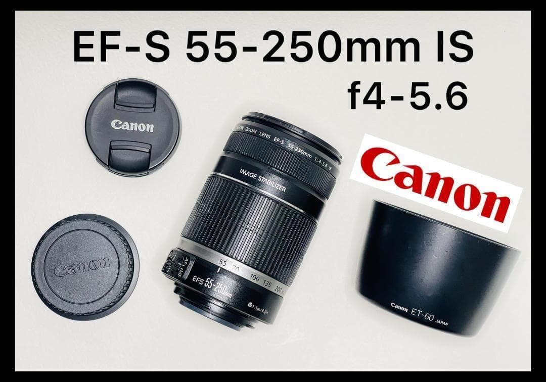 美品☘️Canon キャノン EF-S 55-250mm f4-5.6 IS Canon EF-S55-250mm F4-5.6 IS STMを徹底解説。作例からレビューまで