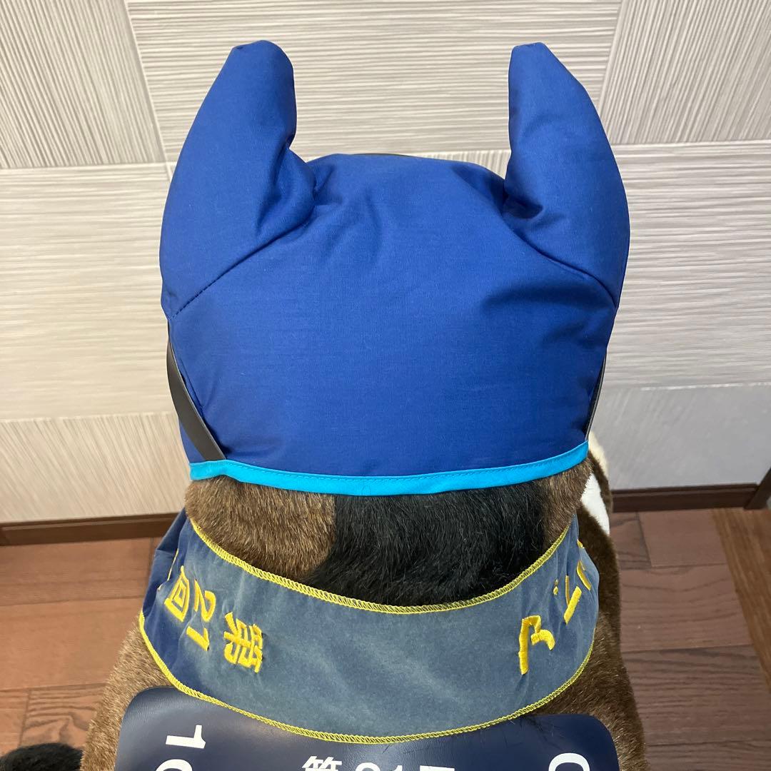 AVANTI＊アドマイヤドン2L（第21回フェブラリーS）