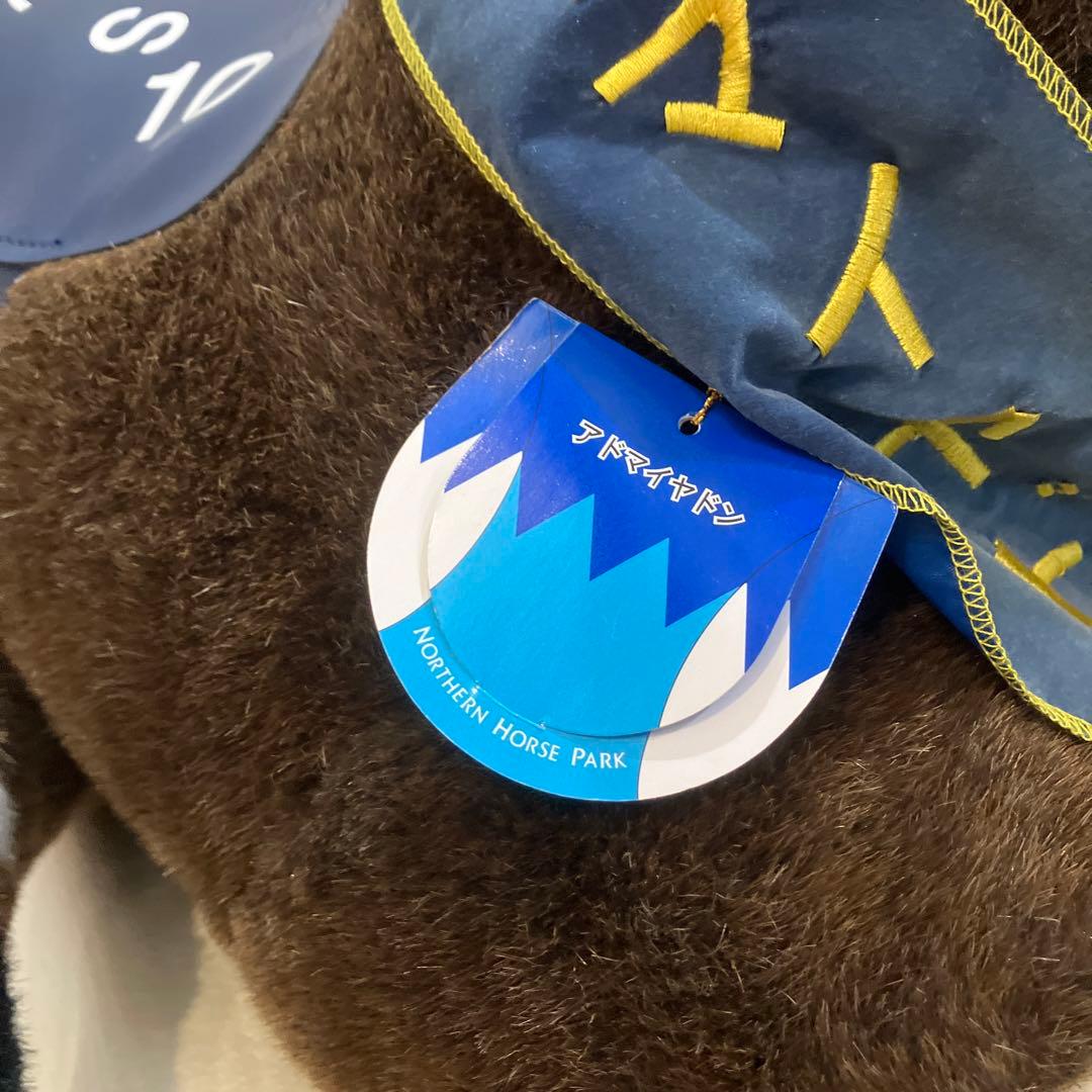 AVANTI＊アドマイヤドン2L（第21回フェブラリーS）