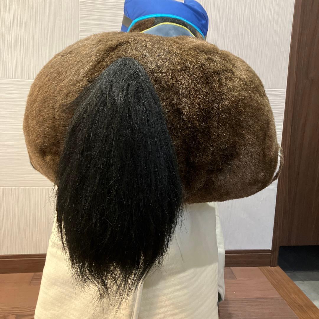 AVANTI＊アドマイヤドン2L（第21回フェブラリーS）