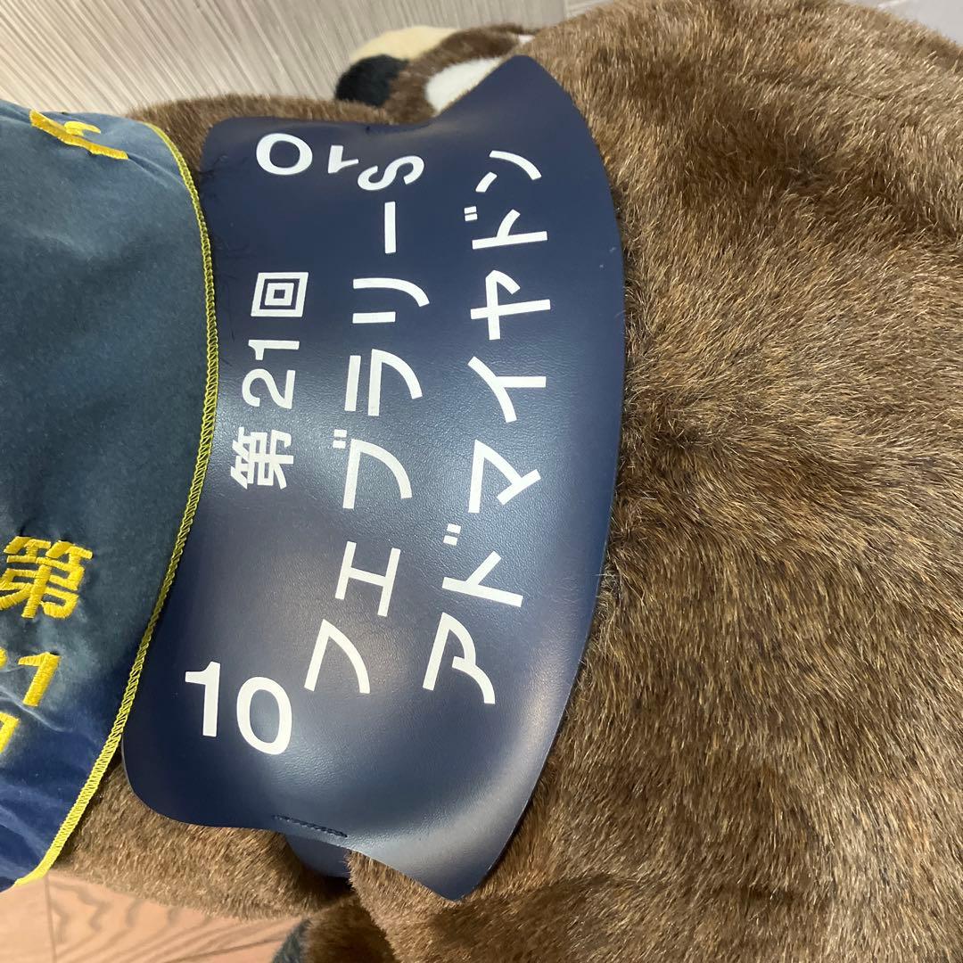 AVANTI＊アドマイヤドン2L（第21回フェブラリーS）