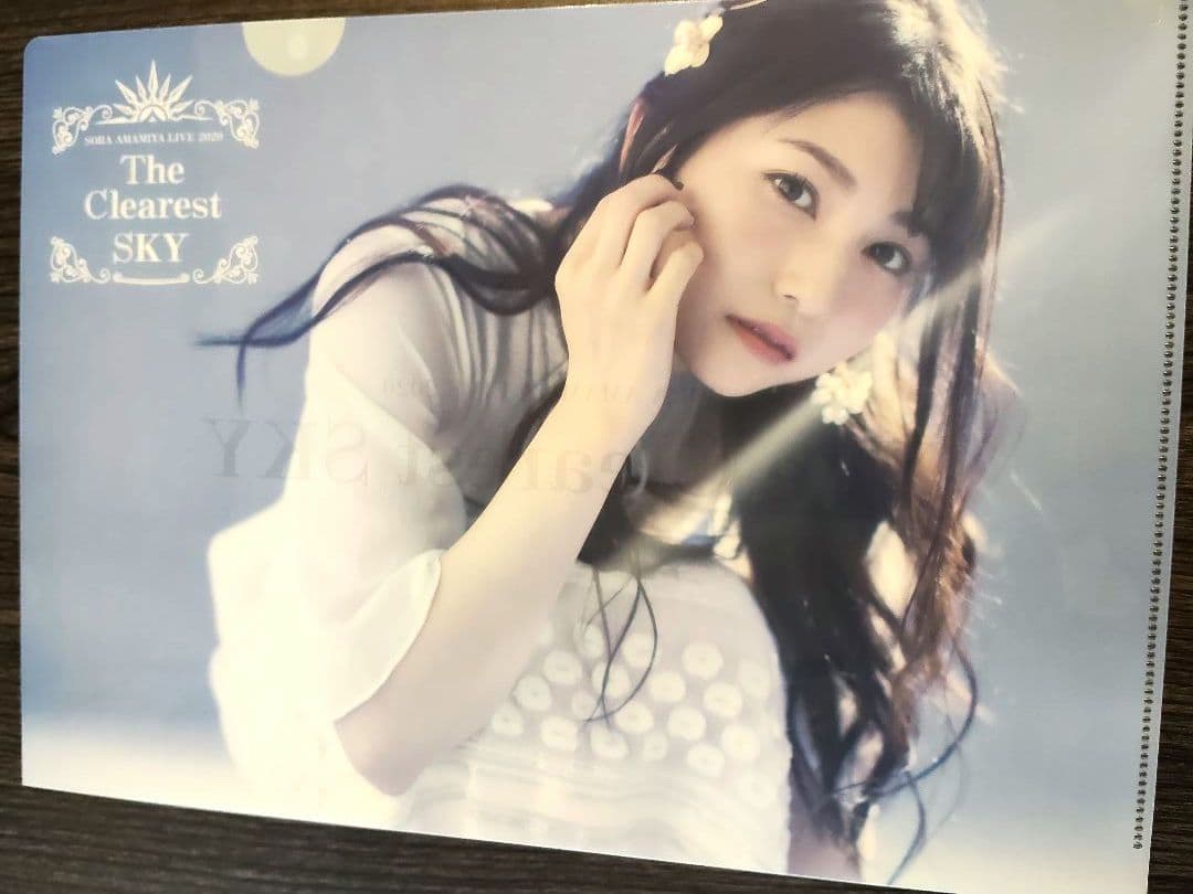 雨宮天 クリアファイル23枚セット