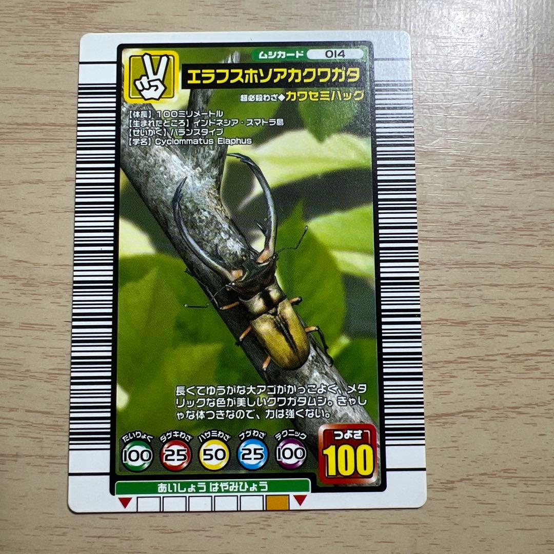 ムシキング エラフスホソアカクワガタ 2004セカンド＋ - メルカリ