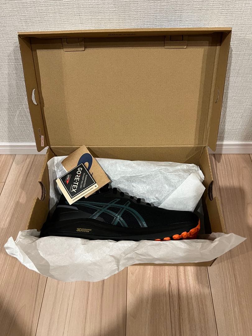 アシックス　GT-1000 13 GTX GORE-TEX 25.0cm