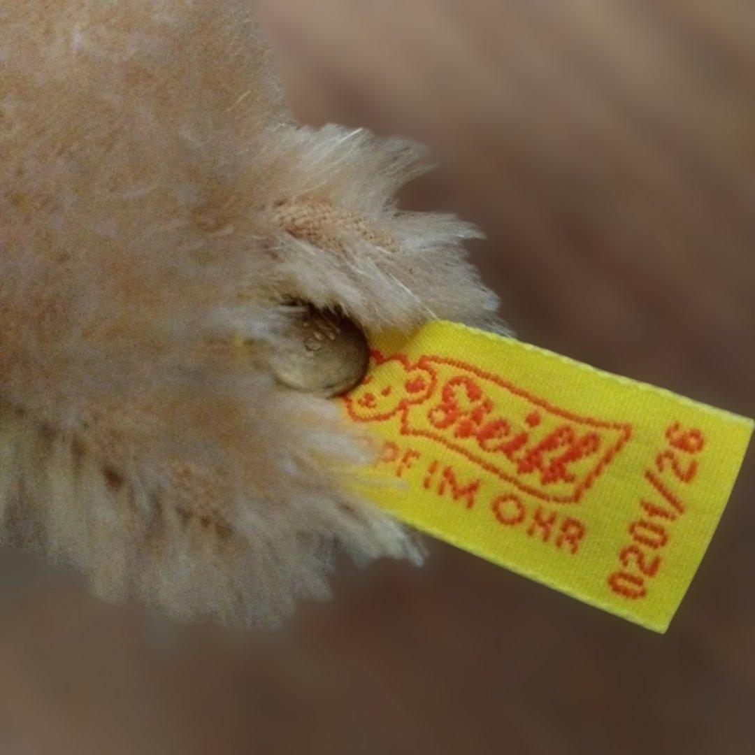 シュタイフ　オリジナル・テディベア（身長25センチ）