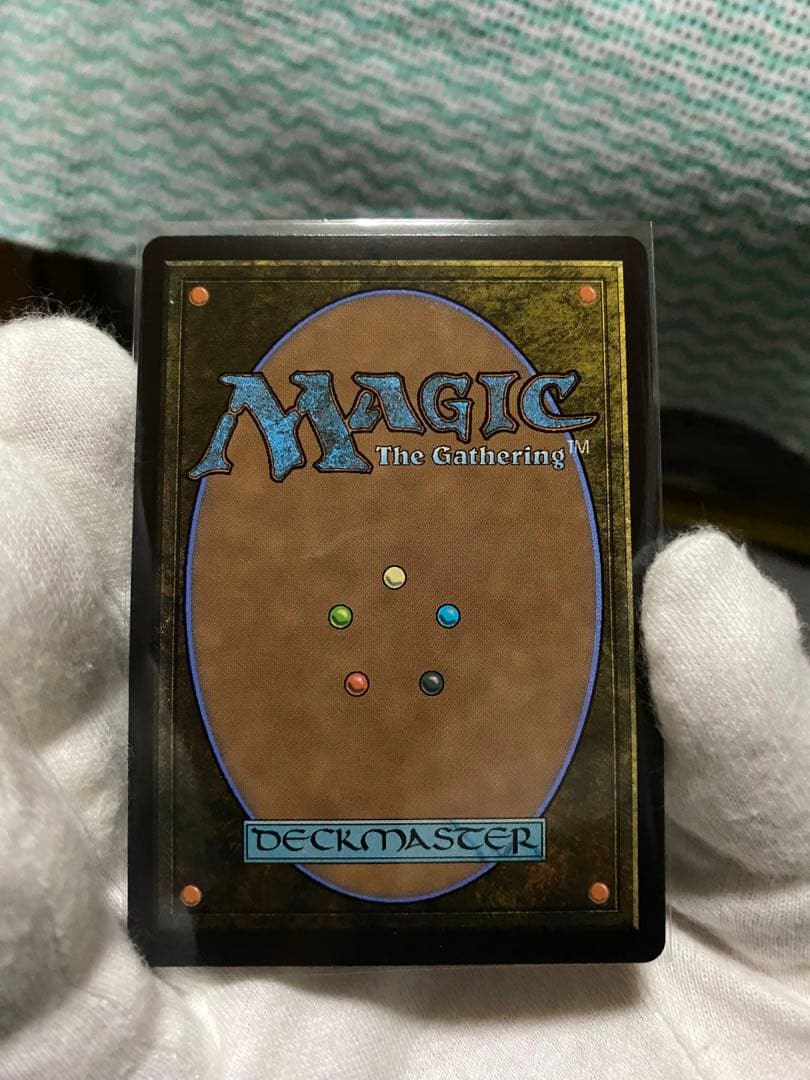 Misty Rainforest 【霧深い雨林】英語版ドラゴンスケイルfoil