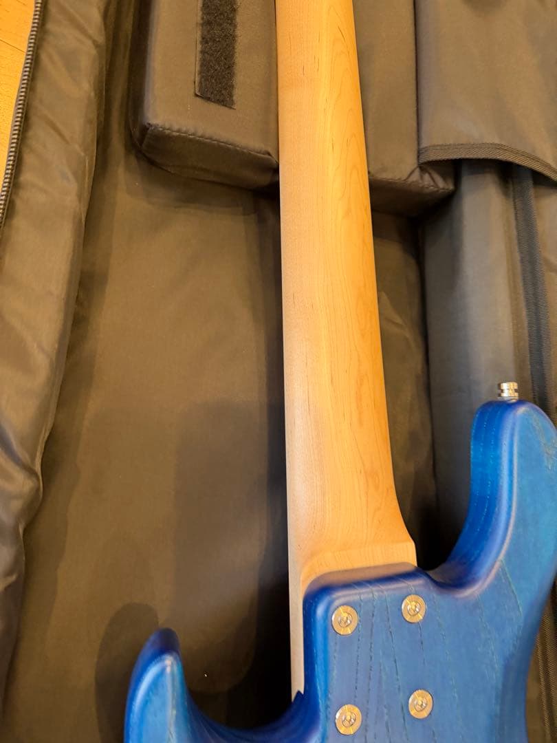 限定値下】Sadowsky ML22 WL5 ASH BLT STN - メルカリ