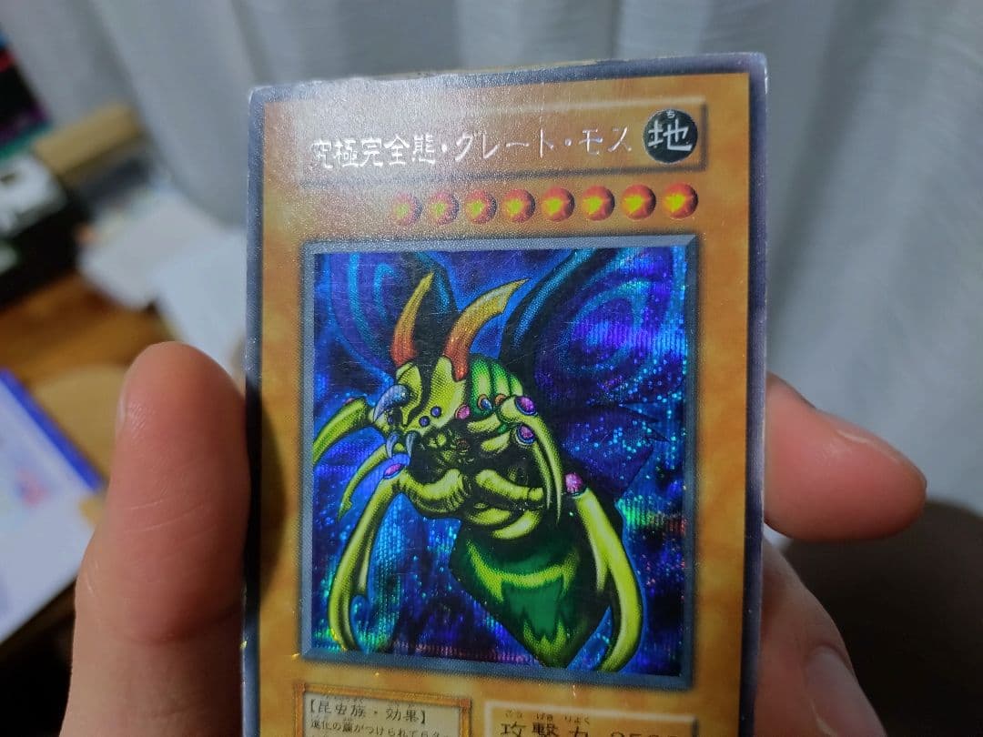 遊戯王　グレート・モス　初期　シークレット