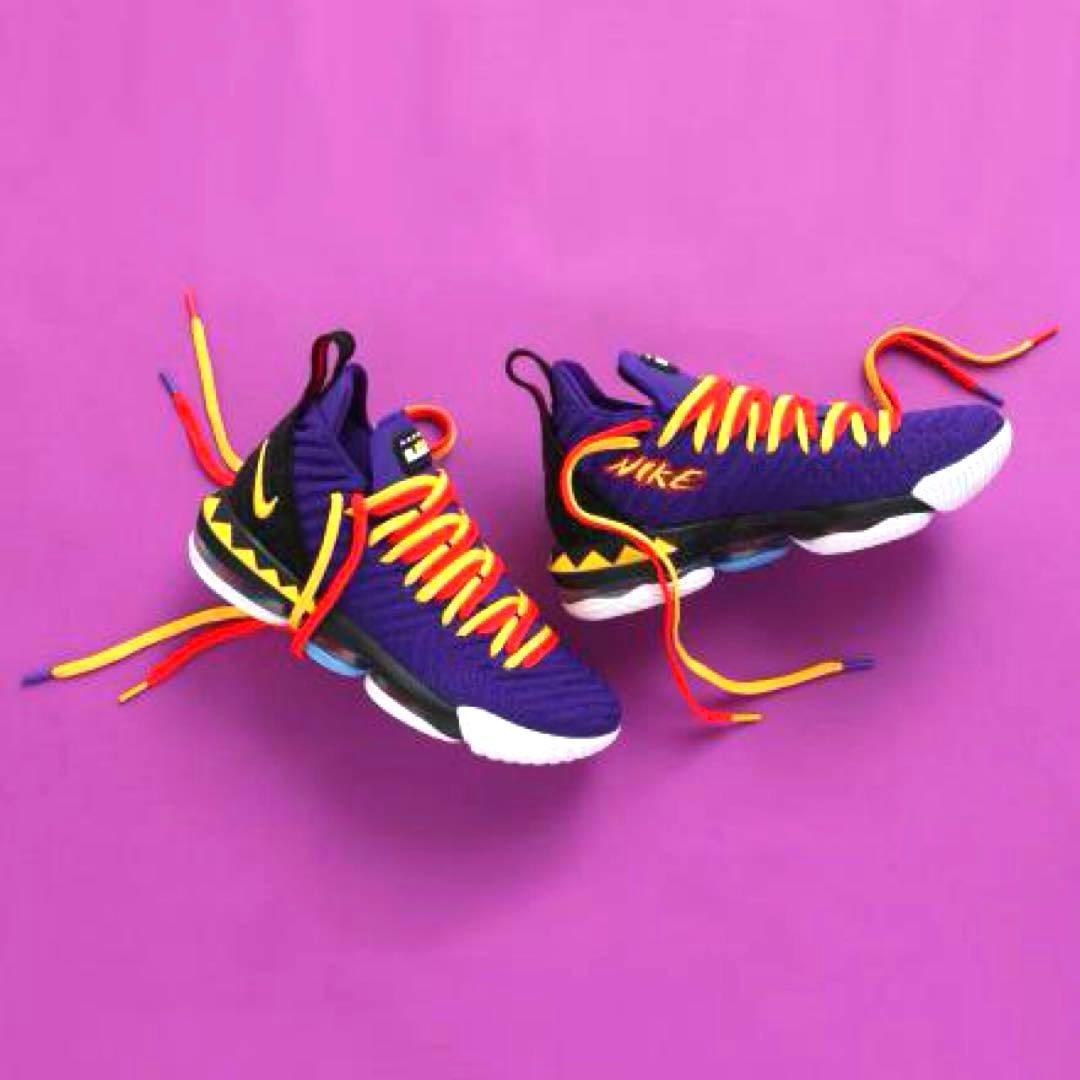 NIKE LEBRON XVI \"MARTIN\" 28cm 未使用品