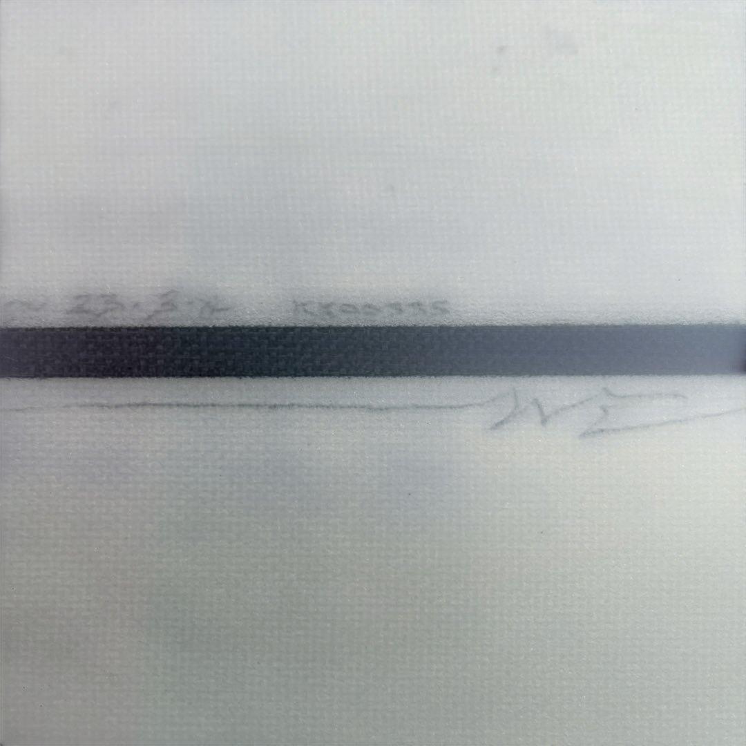 JOEL TUDOR KOOKBOX9.5ウェインリッチハンドシェイプ サンタナ - メルカリ