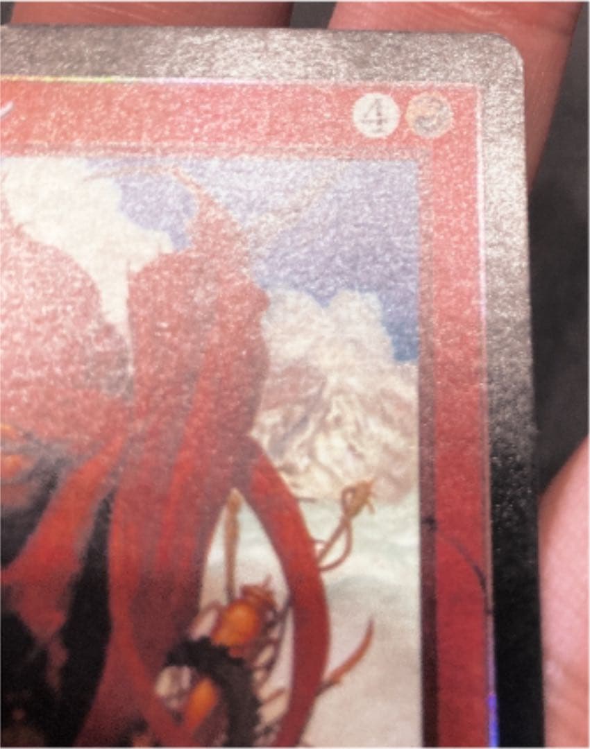 【最終値下】MTG 日本語foil 欲深きドラゴン