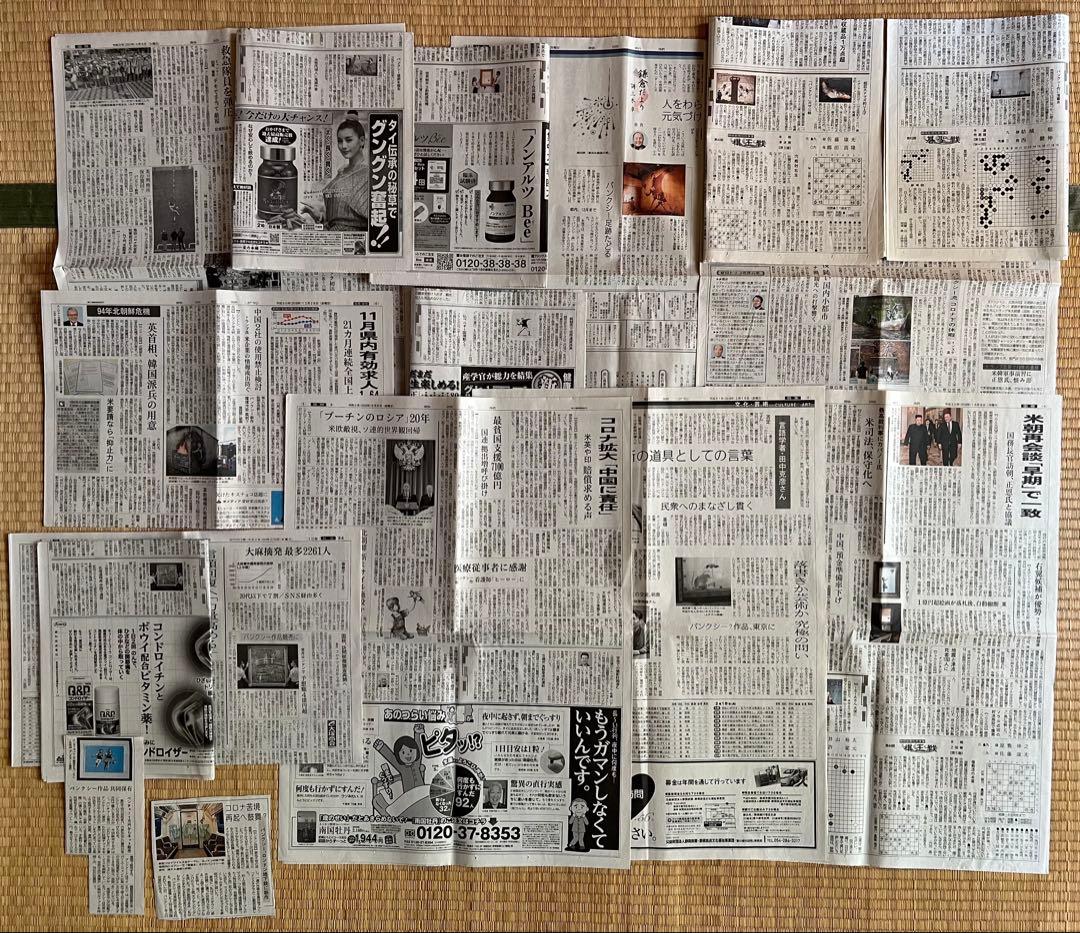 バンクシーの新聞まとめて 失われたバンクシー あの作品は、なぜ消えたのか｜青幻舎 SEIGENSHA