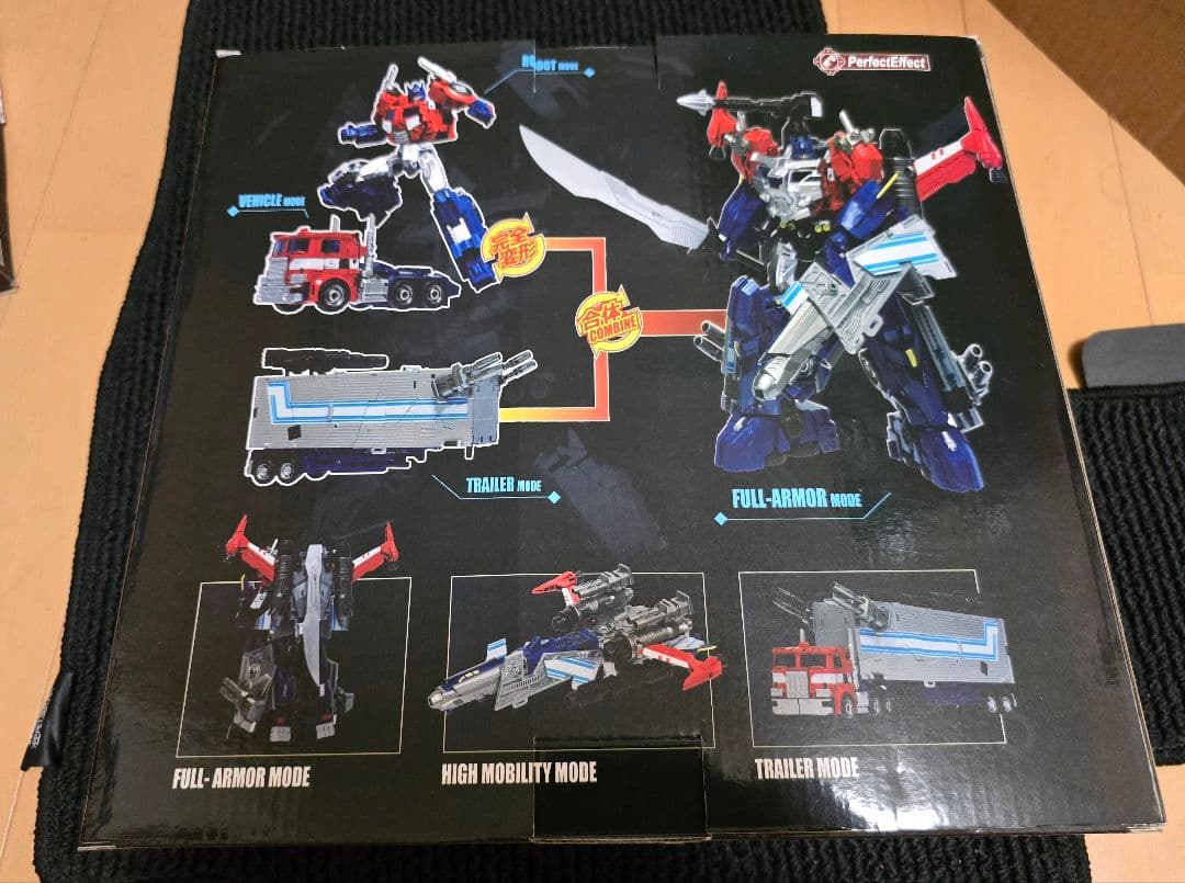 Perfect Effect　PE-DX10G