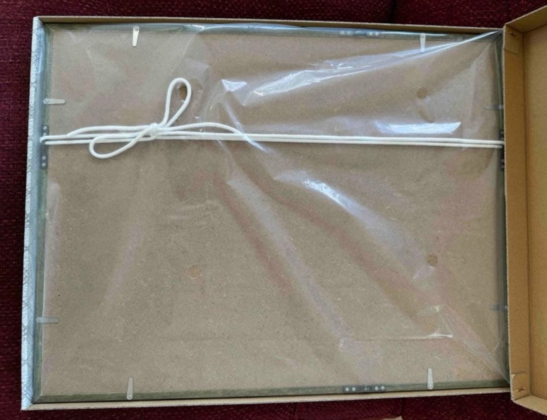 dragon ball ドラゴンボール　ジャンプ　鳥山明 周年正規品　複製原画