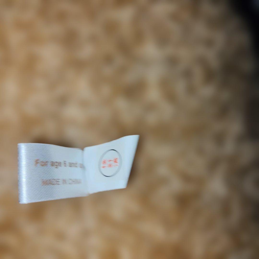 安立屋限定 いぬくじ特等 スタンダードプードル トイプードル 浅草