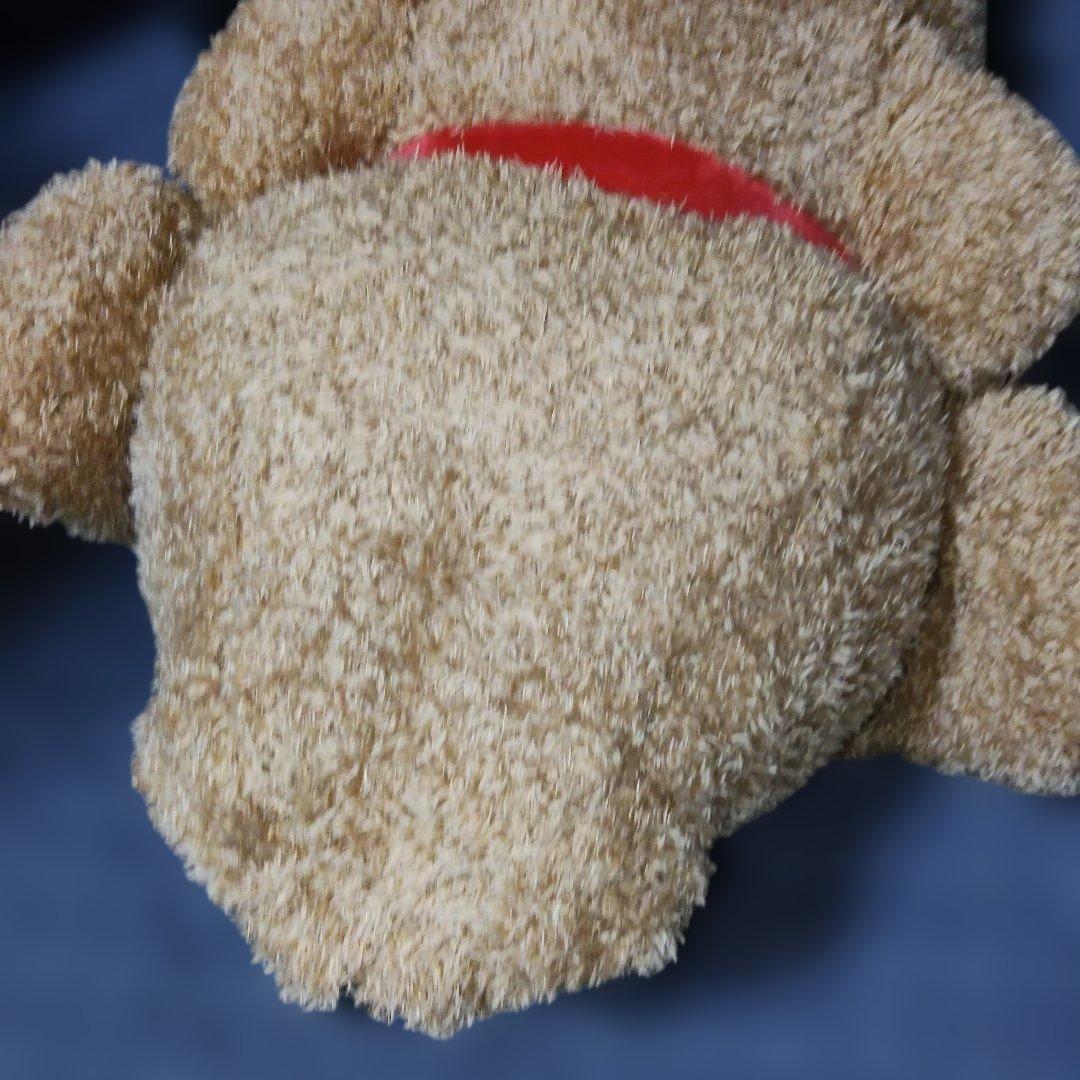 安立屋限定 いぬくじ特等 スタンダードプードル トイプードル 浅草