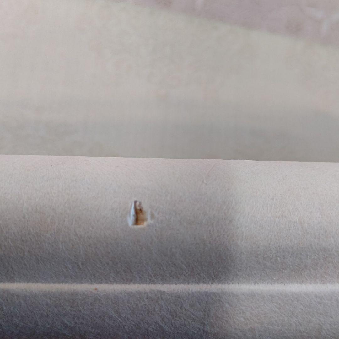 太公望 小野浩堂(直筆) 掛軸