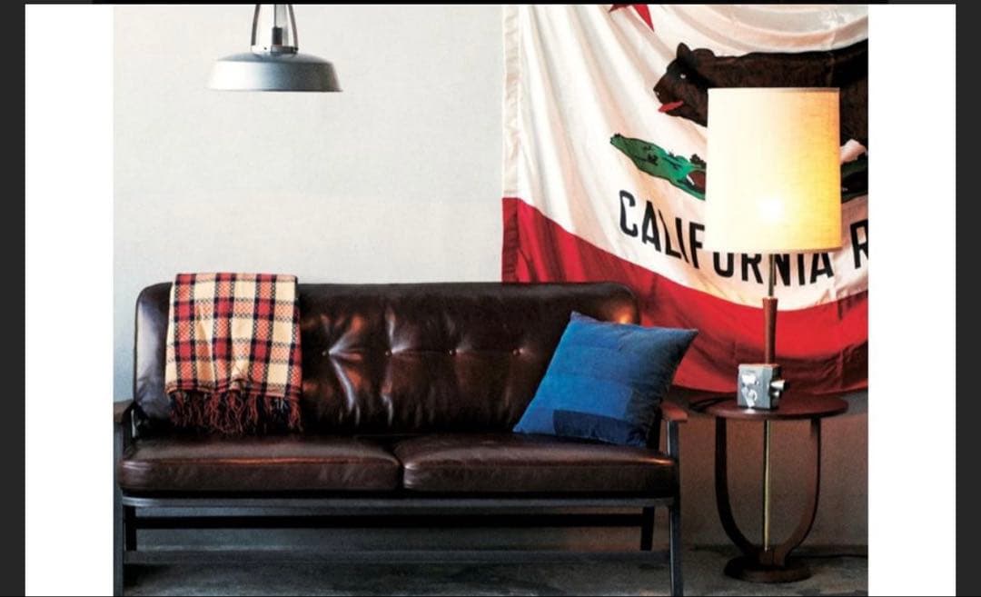 ACME Furniture Delmar ランプ｜GOGOGO様専用 - メルカリ