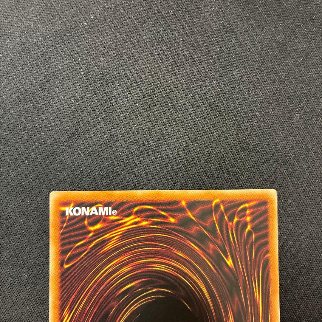 聖域を守護せし光の龍