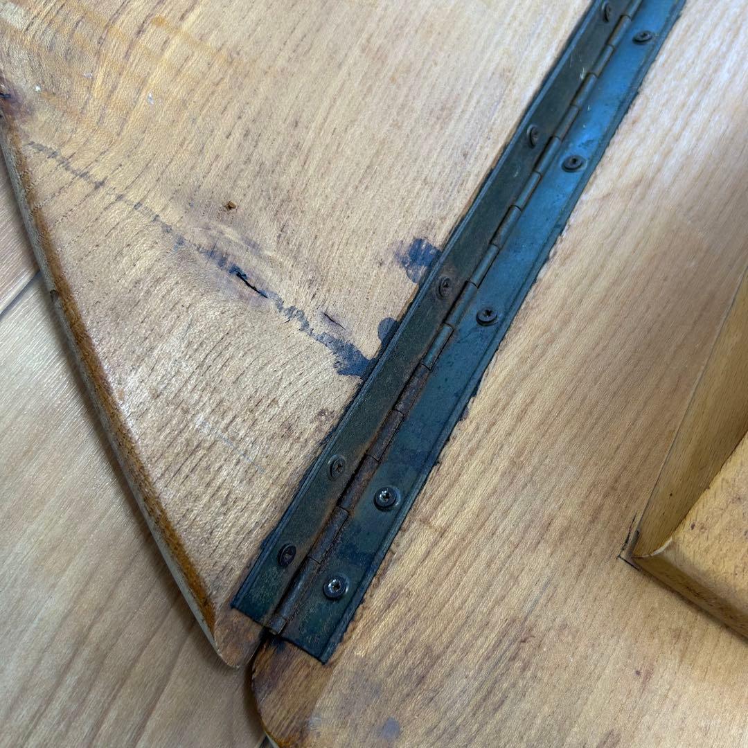 【Ryuji Maemichi】アーコール ドロップリーフ