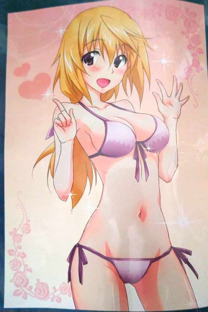 リバーシブルお風呂ポスターシャルロット・デュノアIS<インフィニット・ストラトス