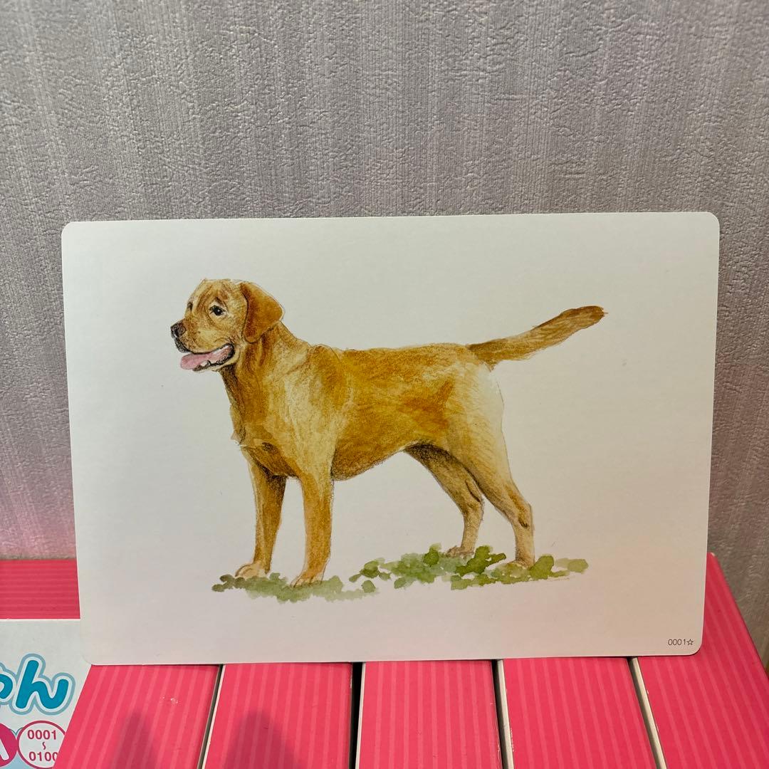 お値下げ かな絵ちゃん Aセット