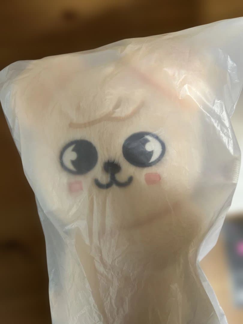 SKZOO PLUSH BAG puppyM パピーム トレカスタンド アクスタ