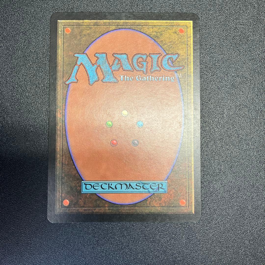 MTG 適者生存　日本語　再録禁止