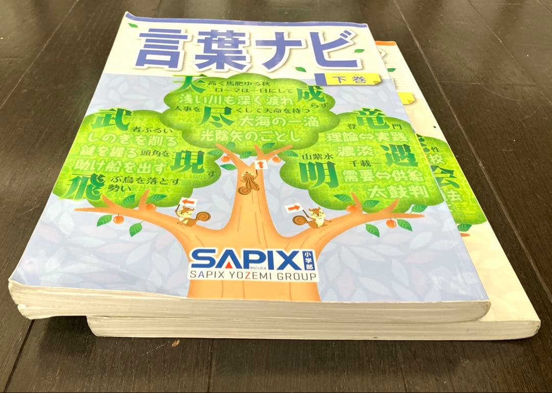 SAPIX サピックス 言葉ナビ 上巻・下巻 セット - メルカリ