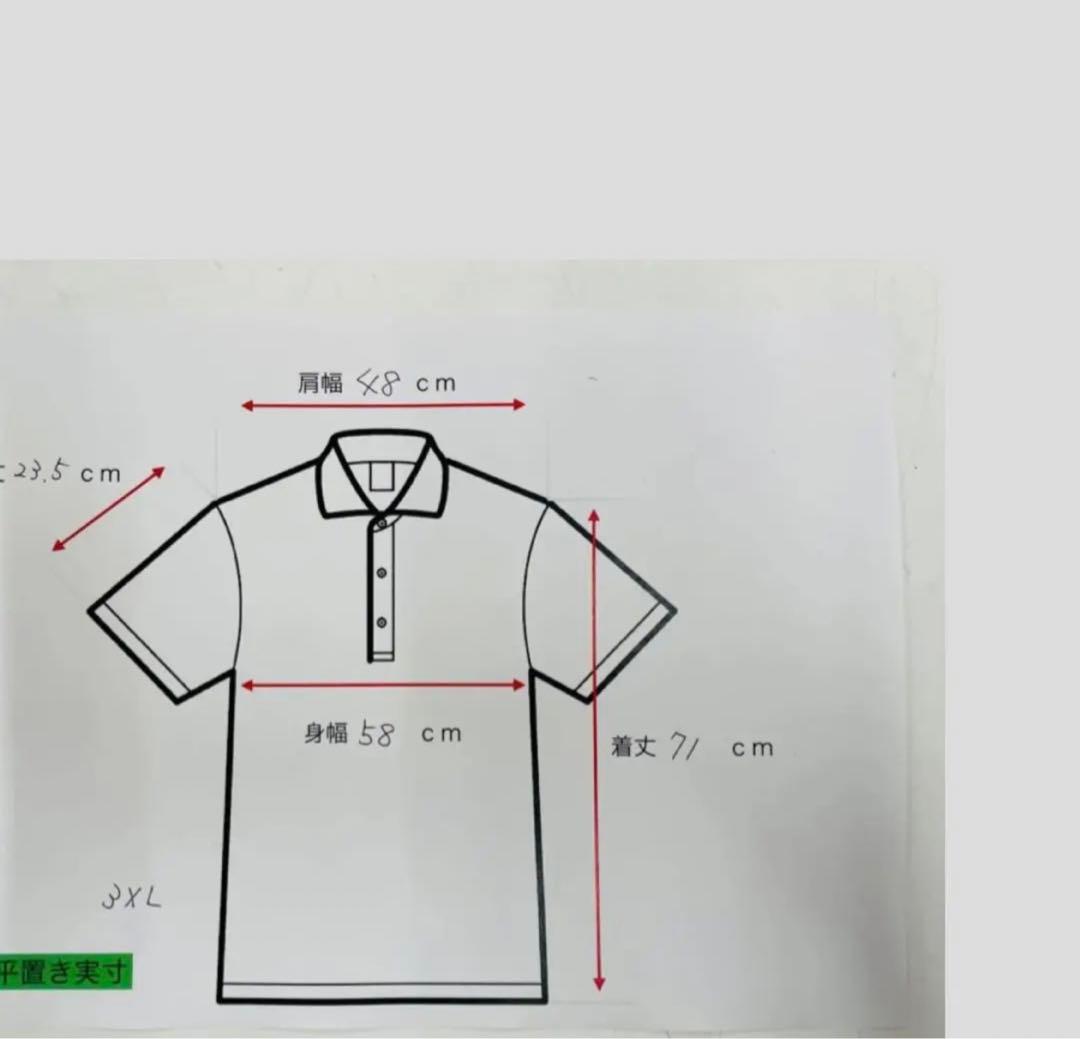 非売品 日本代表 古賀紗理那選手、島村春世選手、山田二千華選手サイン