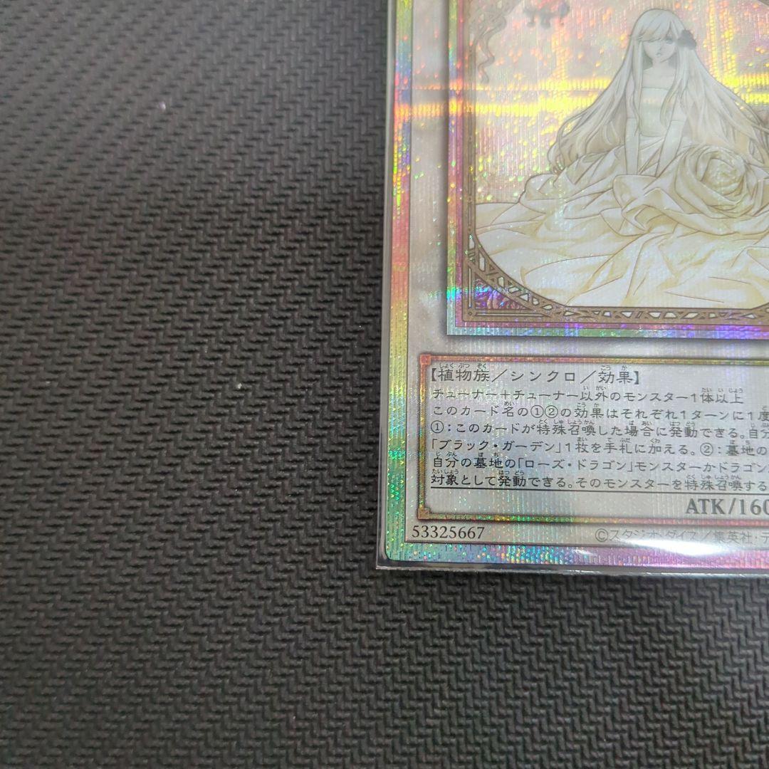 DOOD ガーデン・ローズ・メイデン プリシク　絵違い