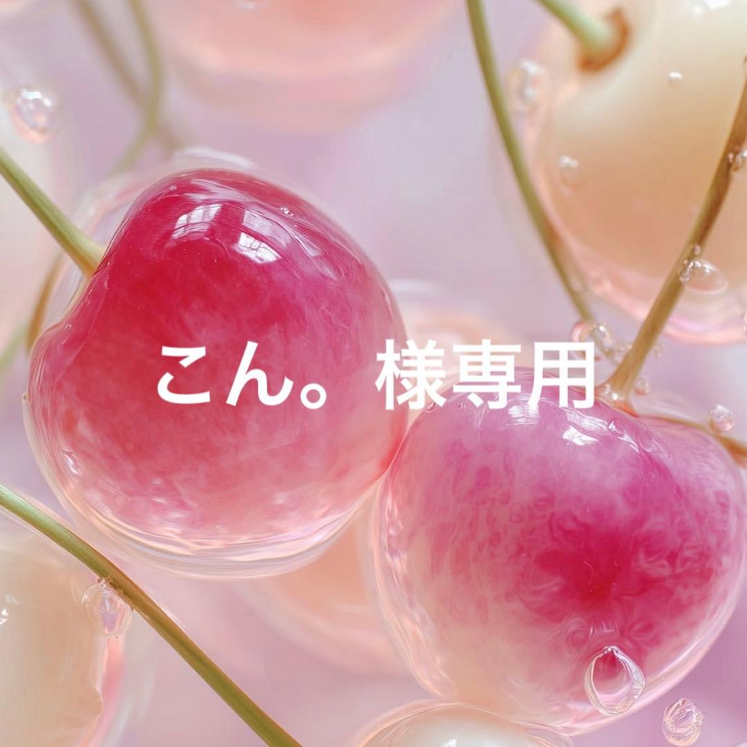 こん。になります 2026 Ninja ZX-4RR モーターサイクル |株式会社カワサキモータースジャパン